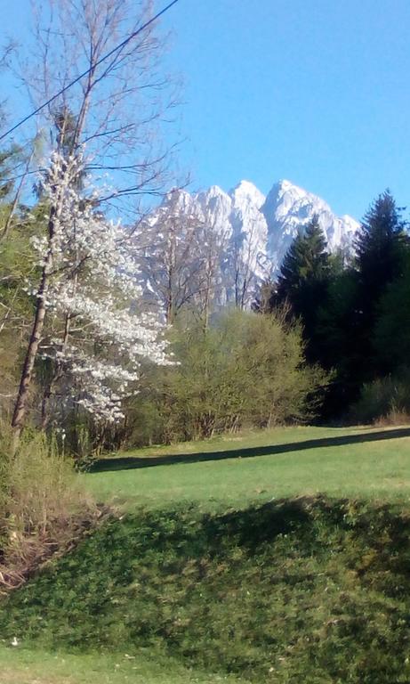 Apartments Grudnik Kranjska Gora Dış mekan fotoğraf